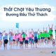 Team building chào mừng 17 năm thành lập công ty